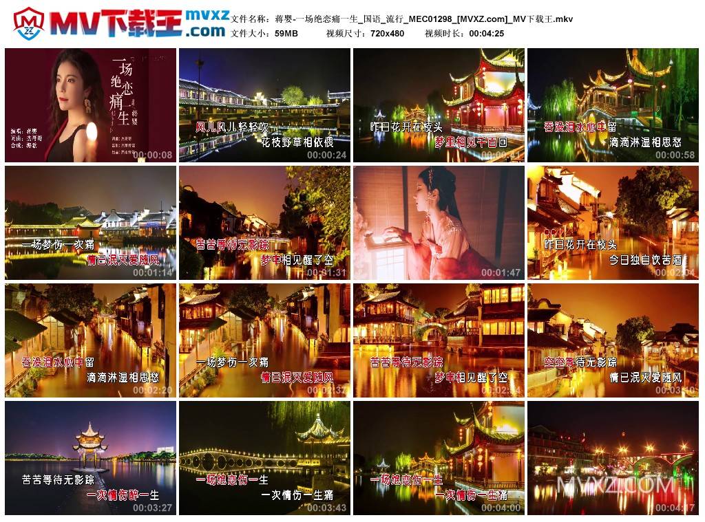 蒋婴-一场绝恋痛一生_国语_流行_MEC01298